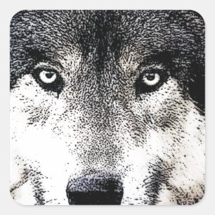 Wolf Eyes Quadratischer Aufkleber