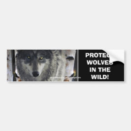 WOLF EYES Wildlife Conservation Autoaufkleber