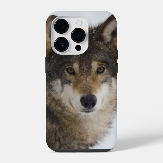 Wolf Face iPhone / iPad Gehäuse Hülle (Rückseite)