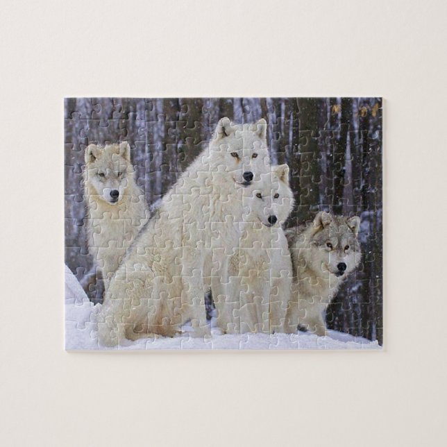 Wolf-Familie Puzzle (Horizontal)