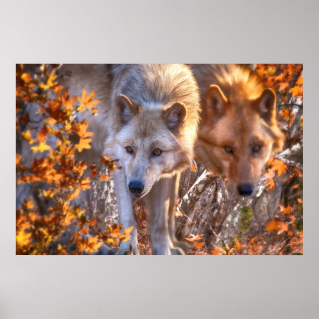 Wolf FAMILY AUTUMN Poster (Vorne)