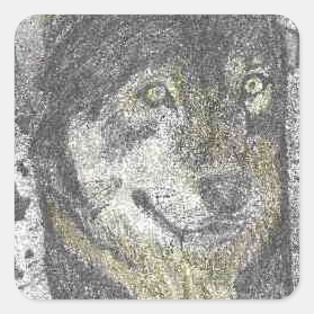 WOLF FARBE PENCIL ZEICHNEND.PNG QUADRATISCHER AUFKLEBER (Vorderseite)