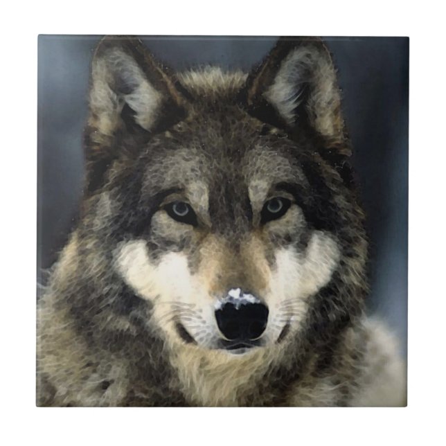 Wolf Fliese (Vorderseite)