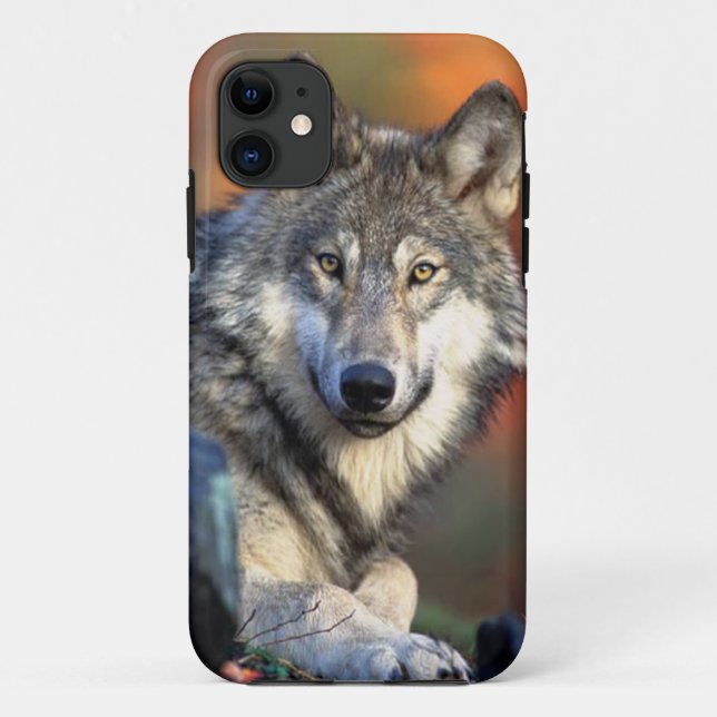 Wolf-Fotografie-Bild Case-Mate iPhone Hülle (Rückseite)