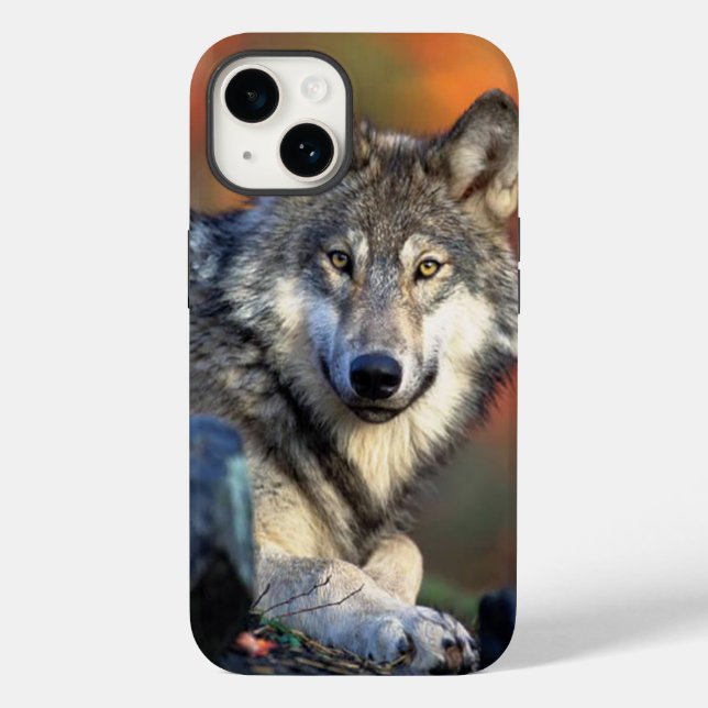 Wolf-Fotografie Case-Mate iPhone Hülle (Rückseite)