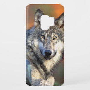 Wolf-Fotografie Case-Mate Samsung Galaxy S9 Hülle