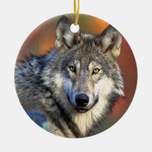Wolf-Fotografie Keramikornament