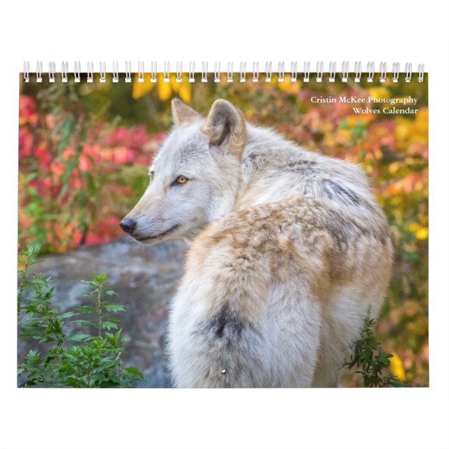 Wolf Fotografy Calendar Kalender (Titelbild)