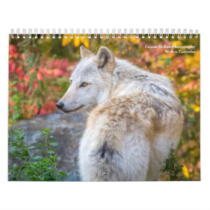 Wolf-Fotokalender Kalender