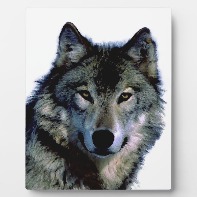 Wolf Fotoplatte (Vorderseite)