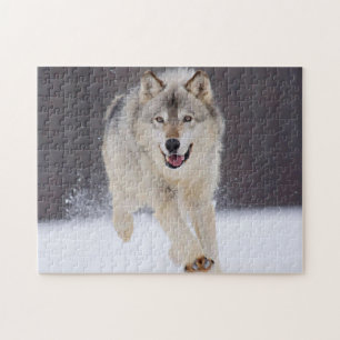 Wolf Game Puzzle
