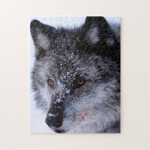 Wolf-Gesicht, Jigsaw-Puzzle Puzzle