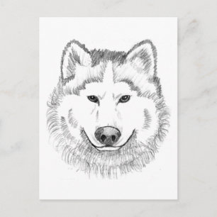 Wolf Head Sketch Postkarte