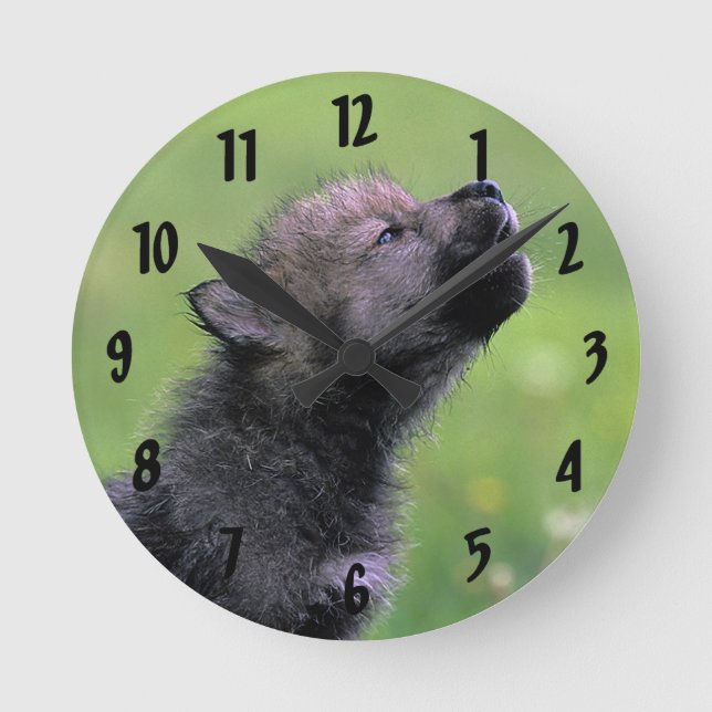 Wolf heulendes CUB Runde Wanduhr (Vorderseite)