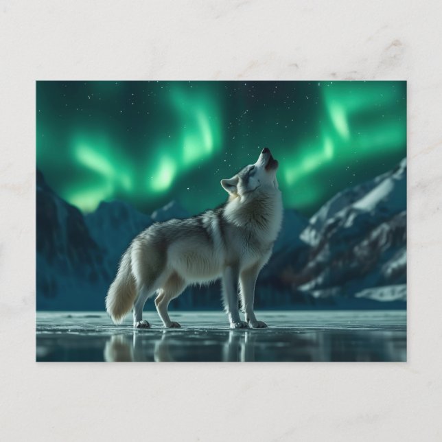 Wolf heult unter den Nordlichtern Postkarte (Vorderseite)