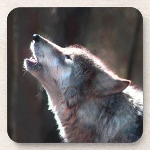 Wolf-Heuschrei Getränkeuntersetzer