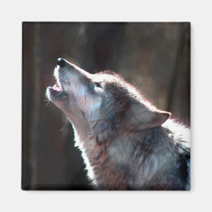 Wolf-Heuschrei Magnet