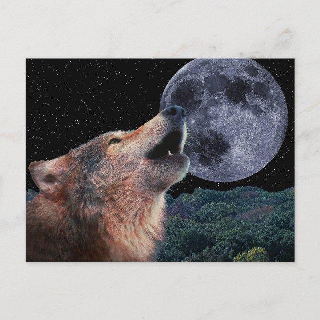 Wolf Howling am Vollmond - Multi-Products-02 Postkarte (Vorderseite)