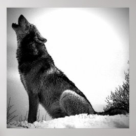 Wolf Howling at Moon Poster Print - Wolf Posters