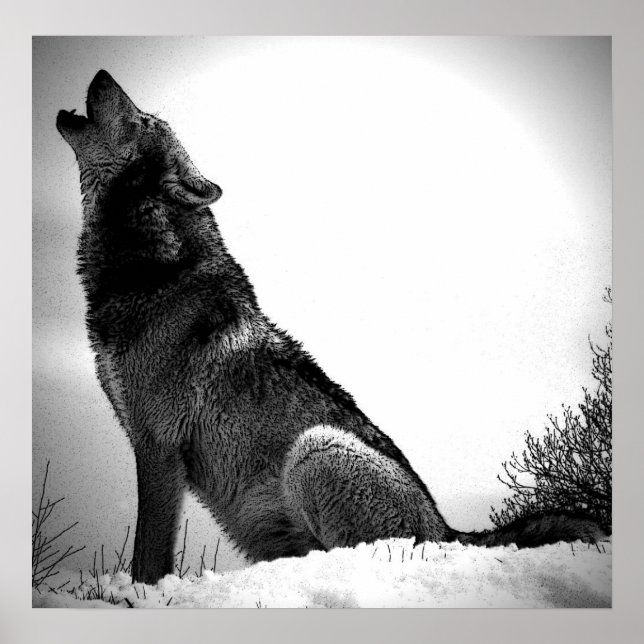 Wolf Howling at Moon Poster Print - Wolf Posters (Vorne)