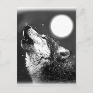 Wolf Howling auf dem Mond Postkarte