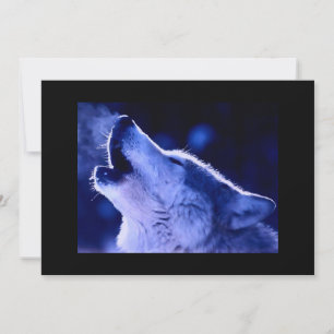 Wolf Howling bei der Einladung zum Mond