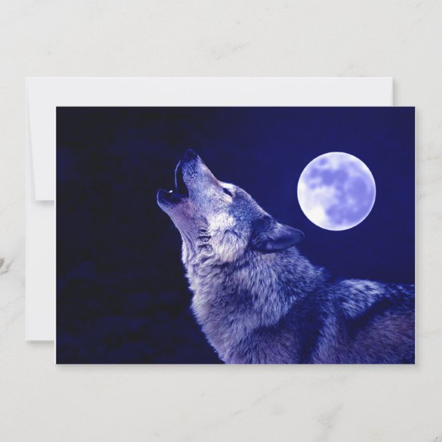 Wolf Howling bei der Einladung zum Mond (Vorderseite)