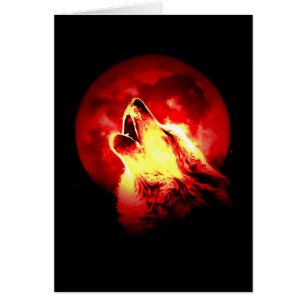 Wolf Howling in der roten Nacht