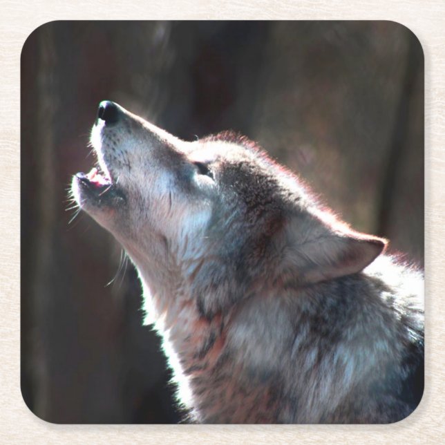 Wolf Howling Lone Wolf Rechteckiger Pappuntersetzer (Vorderseite)