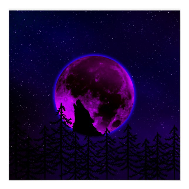 WOLF HOWLING MOON MAGENTA POSTER (Vorderseite)
