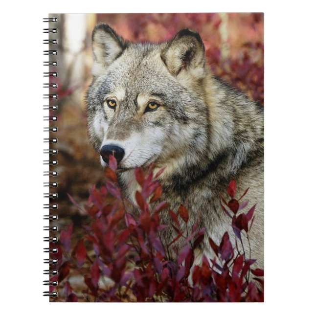 Wolf im Fall Notizblock (Vorderseite)