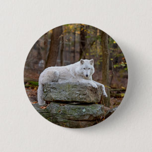 Wolf im Herbst Button