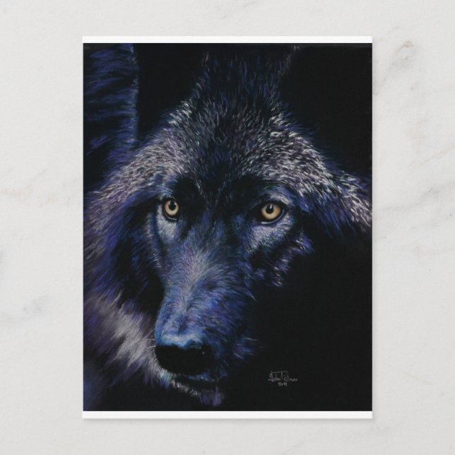 Wolf im Mondlicht (a) Postkarte (Vorderseite)