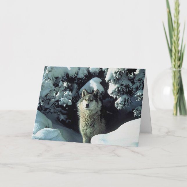 Wolf im Schnee Dankeskarte (Vorderseite)