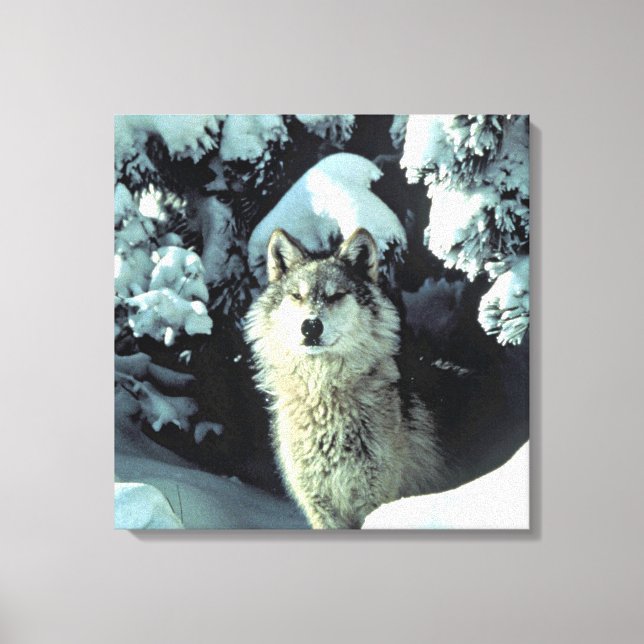 Wolf im Schnee Leinwanddruck (Vorderseite)