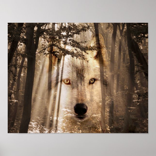 Wolf im Wald gegenüber Poster (Vorne)