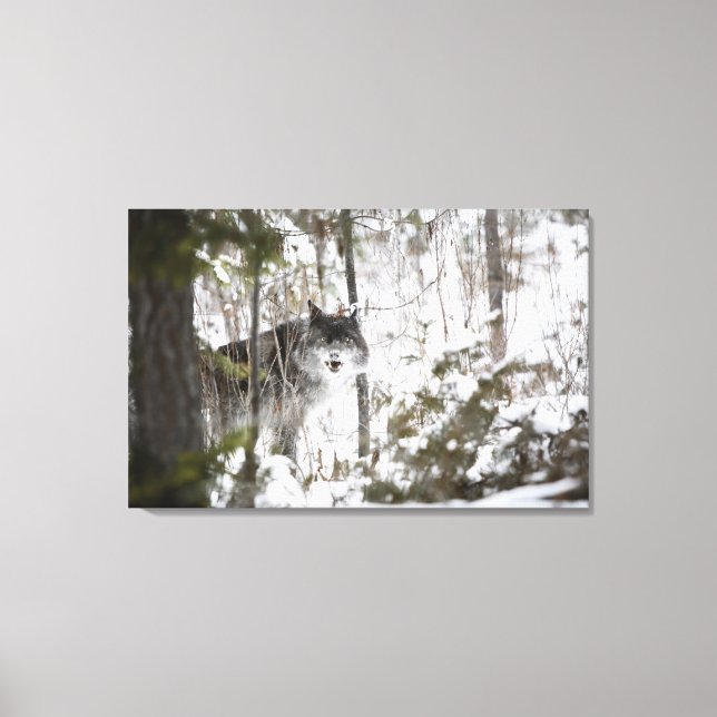 Wolf im Wald im Winter Leinwanddruck (Vorderseite)
