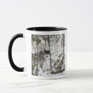 Wolf im Wald im Winter Tasse