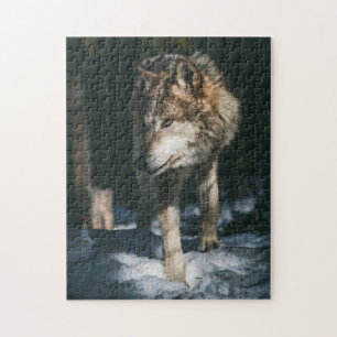 Wolf im Wildtier Puzzle