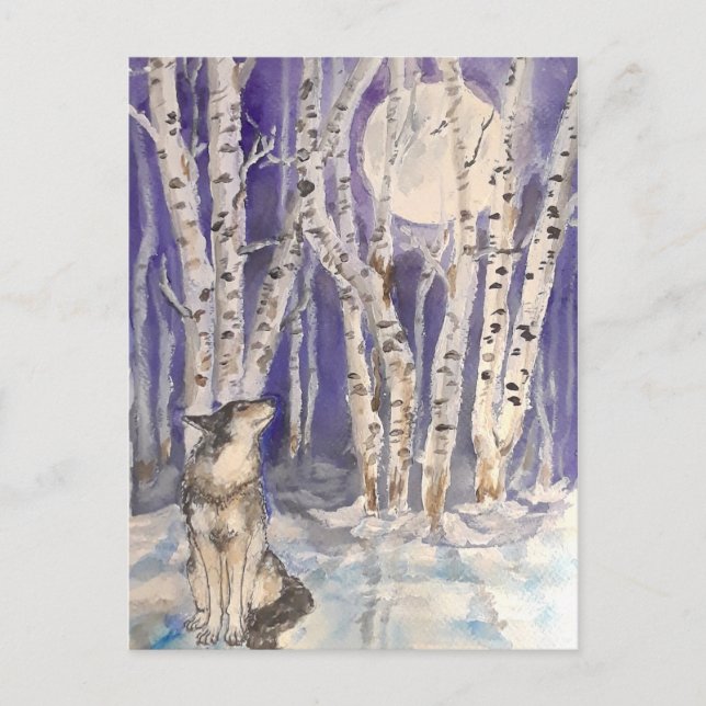 Wolf im Winter Postcard Postkarte (Vorderseite)