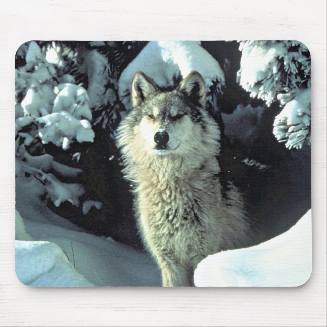 Wolf im Winterwald blickt ins Leere Mousepad (Vorne)