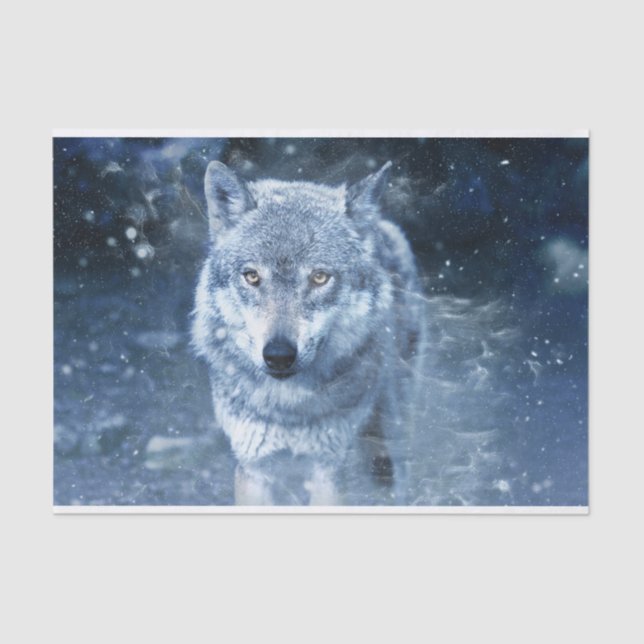 Wolf in Blizzard Seidenpapier (Vorderseite)