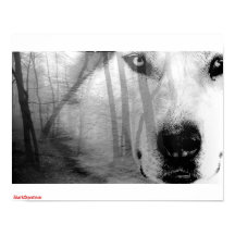 Wolf in Forest Poster DarkSpectrum original