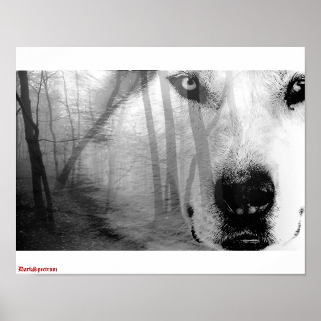 Wolf in Forest Poster DarkSpectrum original (Vorne)
