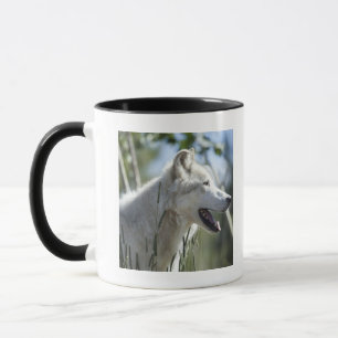 Wolf in Yellowstone 2 Tasse