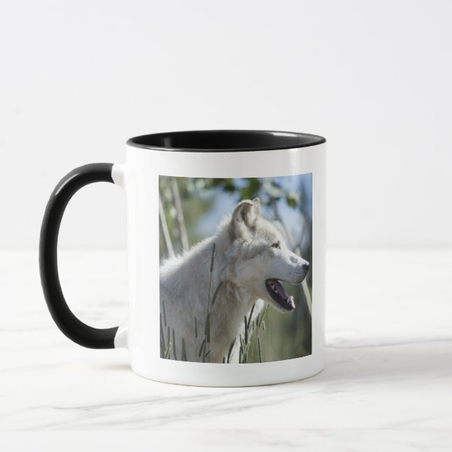 Wolf in Yellowstone 2 Tasse (Links)