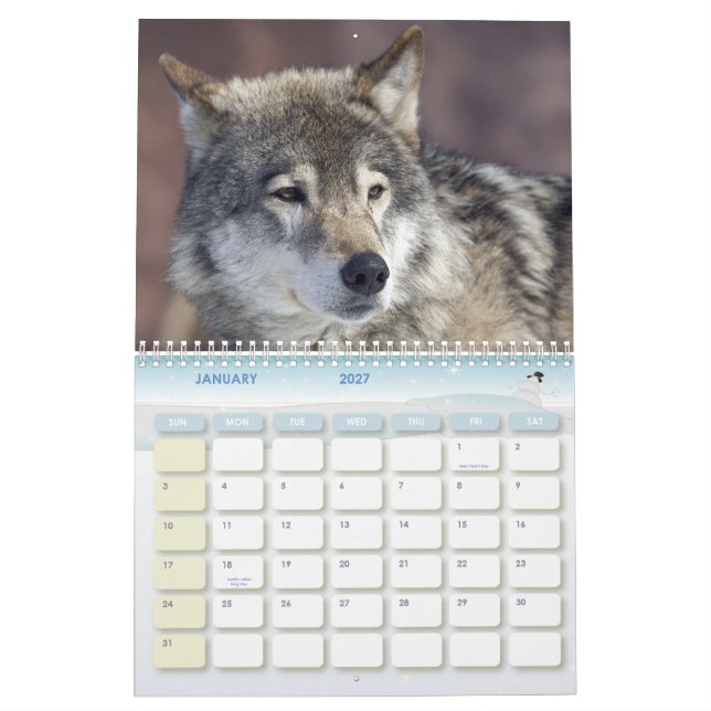 Wolf Kalender (Jan 2027)