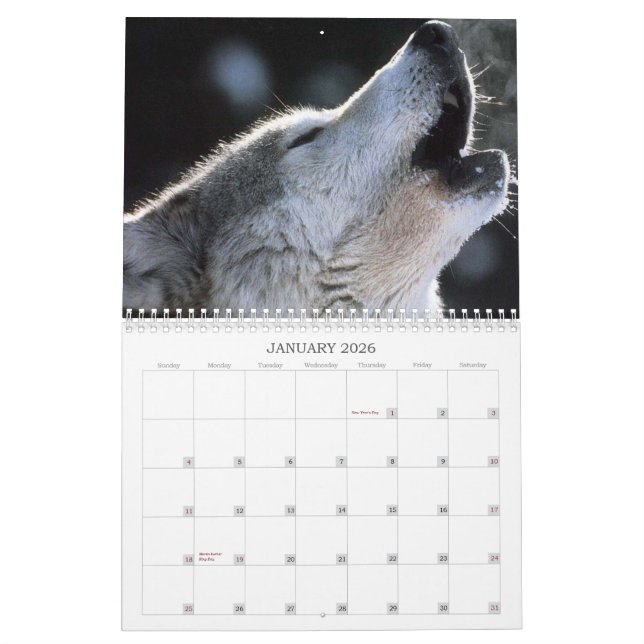 Wolf-Kalender Kalender (Jan 2026)