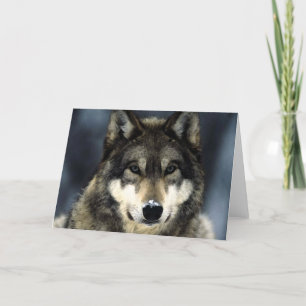 Wolf Karte