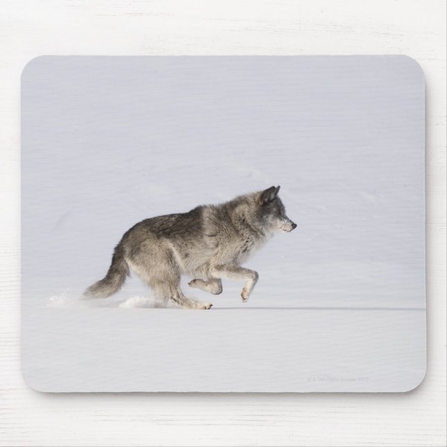 Wolf läuft im Schnee 2 Mousepad (Vorne)